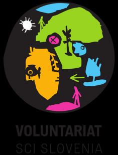 voluntariat.png